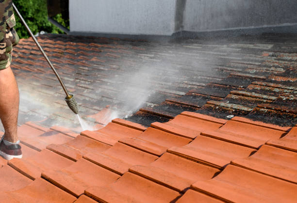 Best Affordable Pressure Washing  in Kings Grant, NC